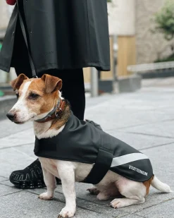 Dog Raincoat^STUTTERHEIM Fashion