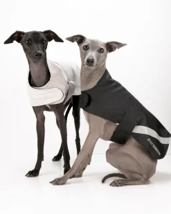 Dog Raincoat^STUTTERHEIM Fashion