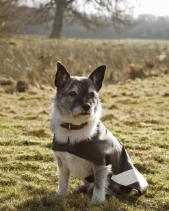 Dog Raincoat^STUTTERHEIM Fashion