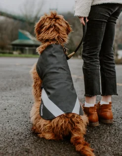 Dog Raincoat^STUTTERHEIM Fashion