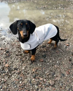 Dog Raincoat^STUTTERHEIM Hot