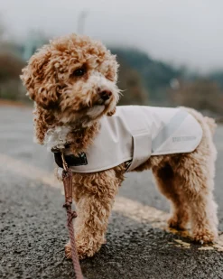 Dog Raincoat^STUTTERHEIM Hot