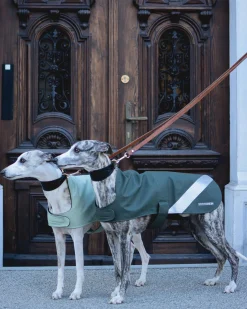 Dog Raincoat^STUTTERHEIM Flash Sale