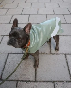 Dog Raincoat Opal^STUTTERHEIM Shop